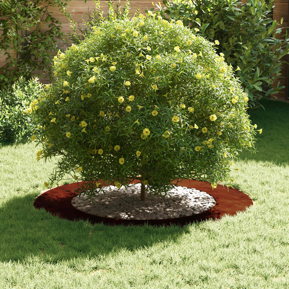 Adecuado Para Anillo De Árbol Plano Oxidado Ø60/90 Cm_2
