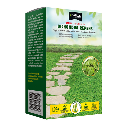 Sementes de erva-batlle Dichondra repens 100 g