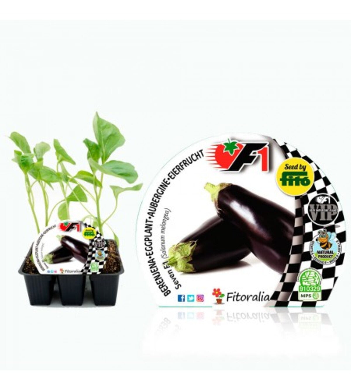 Pack plantones berenjena Seven híbrida 6 ud. natural- Fitoralia_0