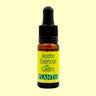 Essência de Cedro Plantis 10 ml