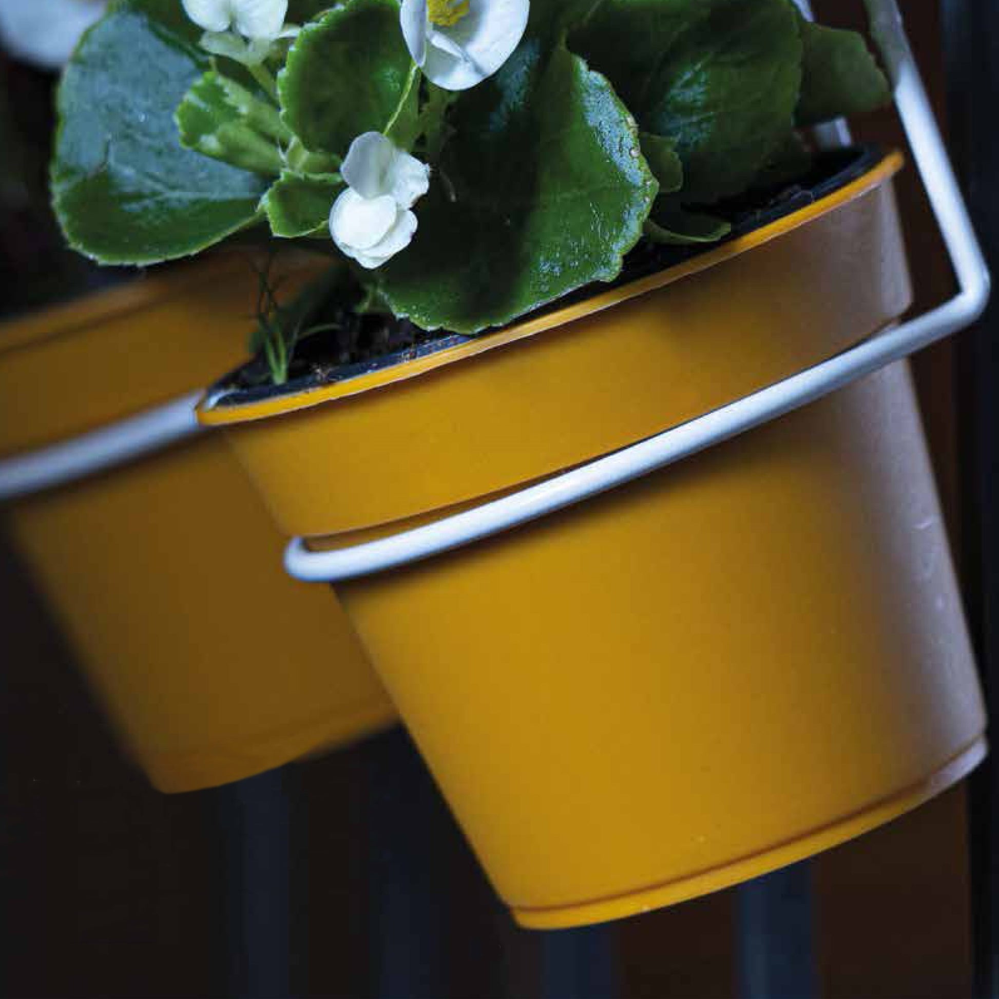 4 Macetas Cilíndricas Ø 14 Cm Con Ganchos, En Polipropileno Gris