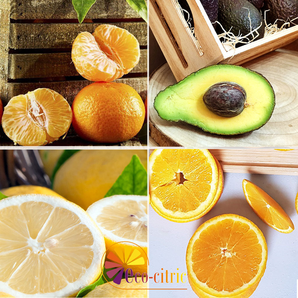 Combi Naranja, Mandarina, Limón Y Aguacate 20kg ecológico_0
