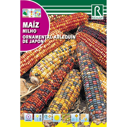 Sementes de milho ornamental arlequim japonês