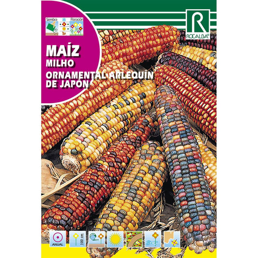 Sementes de milho ornamental arlequim japonês