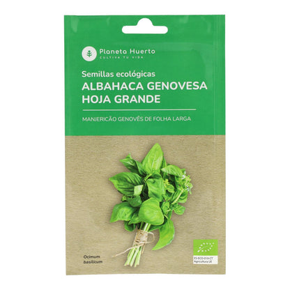 Sementes orgânicas de manjericão genovês da Planeta Huerto