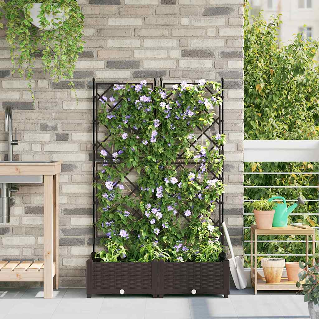 Macetero De Jardín 2 Uds. Marrón 80 X 40 X 125,5 Cm Pp_1