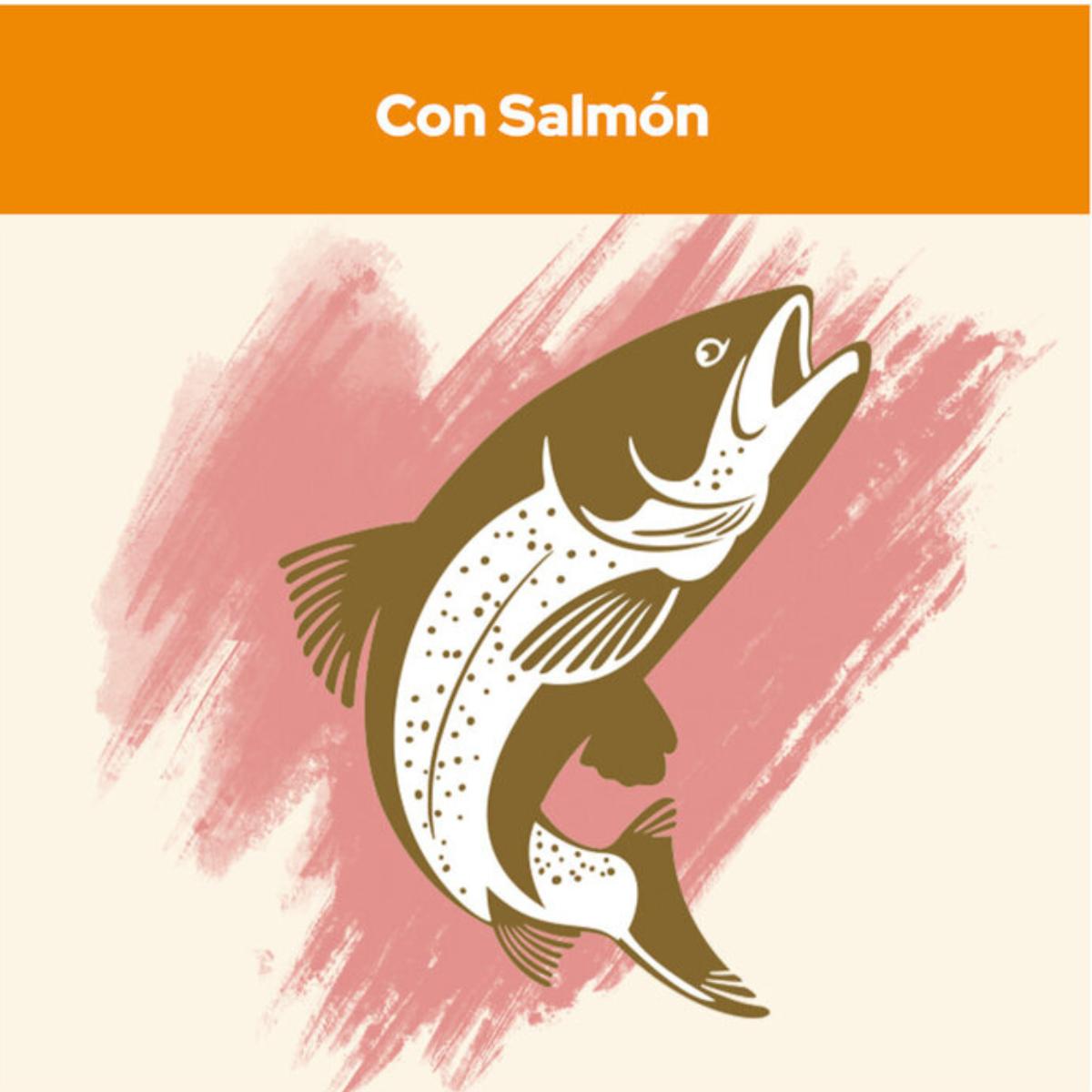 Cat Chow Salmão Adulto 1,5 kg