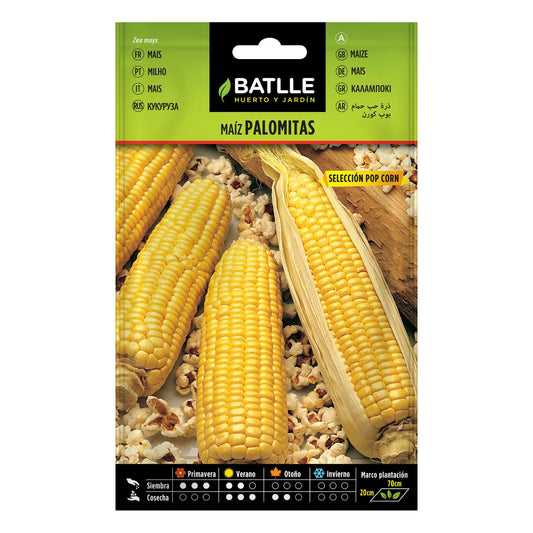 Sementes de Pipoca Pop Corn Batlle