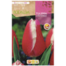 Bulbo tulipa vermelha Lucky Strike 5 peças Rocalba