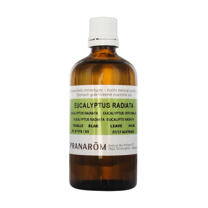 Óleo essencial de Eucalipto radiata, Pranarom 100 ml