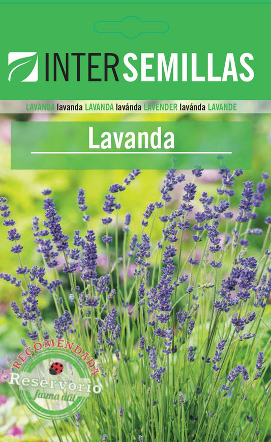 Sobre De Semillas De Lavanda_0