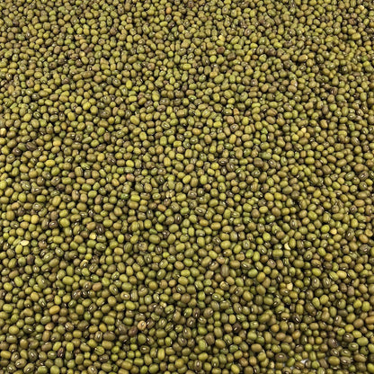 Soja Verde Ecológica Granel 25 Kg_2