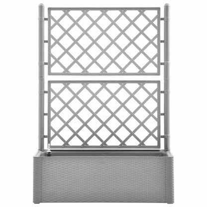Arriate Con Enrejado Y Sistema De Riego Automático Gris_2