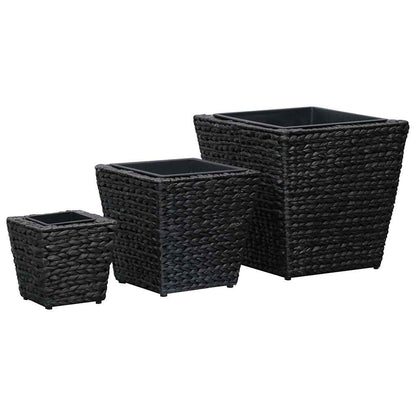 Conjunto De Arriates 3 Piezas Jacinto De Agua Negro_1