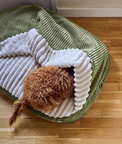 Cafide Cama Con Capucha Para Perro Con Tejido De Pana Verde. Modelo Maso. Talla S (50x60x10 Cm)_1