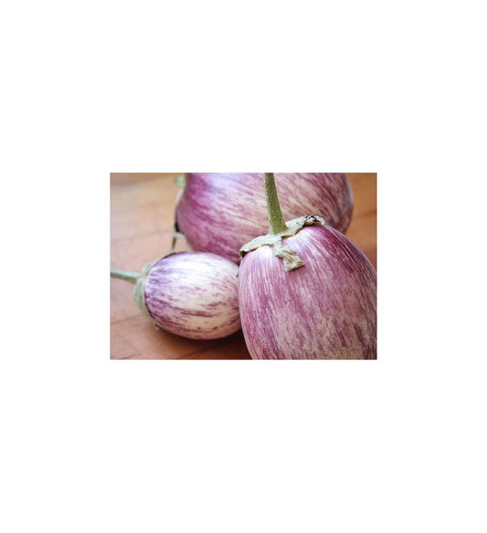 Plantón Berenjena Listada De Gandía (10 Unidades)_0