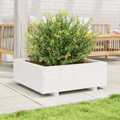 Jardinera De Madera Maciza De Pino Blanco 70x70x26,5 Cm_2