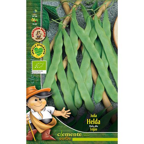 Sementes biológicas de feijão Helda