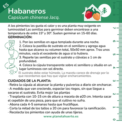 Kit de auto-cultivo Habaneros Planeta Huerto