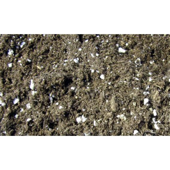 Substrato para Sarracenia carnívora 1L