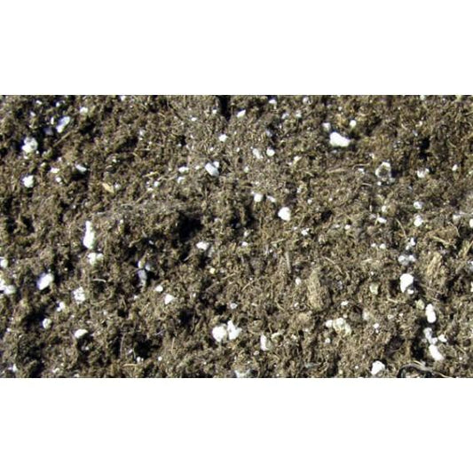 Substrato para Sarracenia carnívora 1L