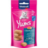 Vitakraft Cat Yums Salmão 40 g