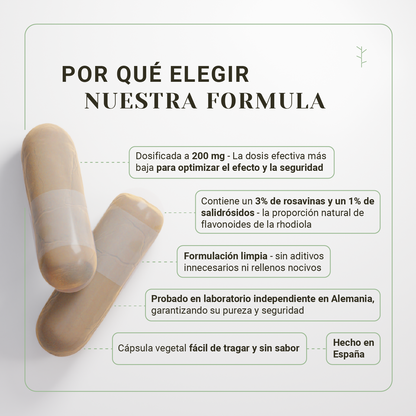 Rhodiola rosea 200mg – estrés, estado de ánimo, energía y reducción del cansancio (120 cápsulas)_2