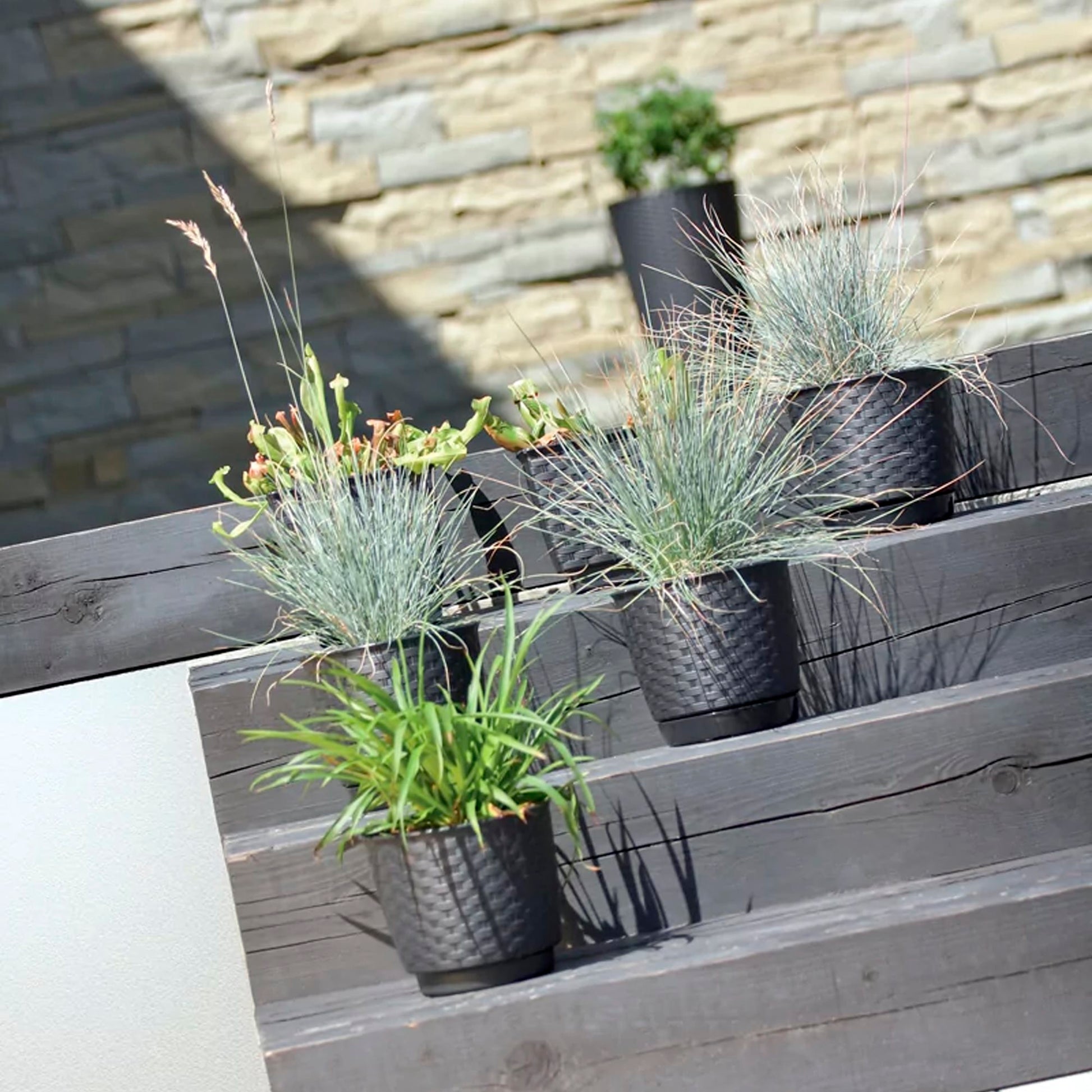 Maceta Ratolla Round 2l., Dimensiones (mm) 165x165x142, Color Blanco