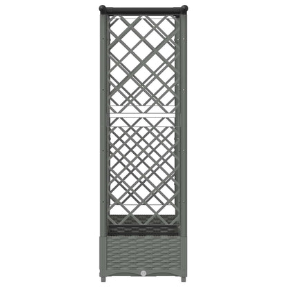 Cama Elevada Con Trellis Y Techo Gris Claro 164 X 40 X 121 Cm_3