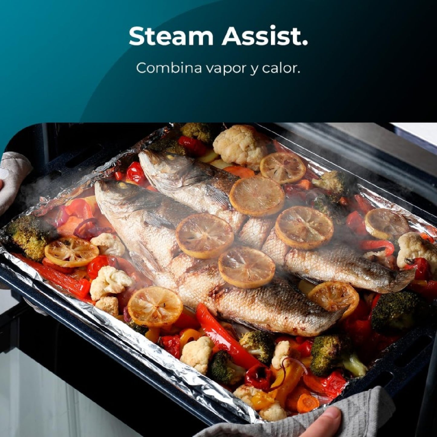 Cecotec Horno Multifunción Bolero Hexa M226000 Inox A_4