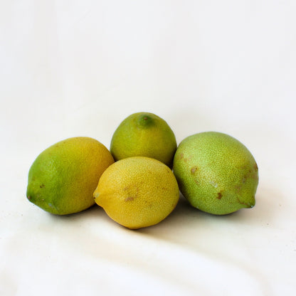 Limones De Verano De Málaga 1/2 Kg_0