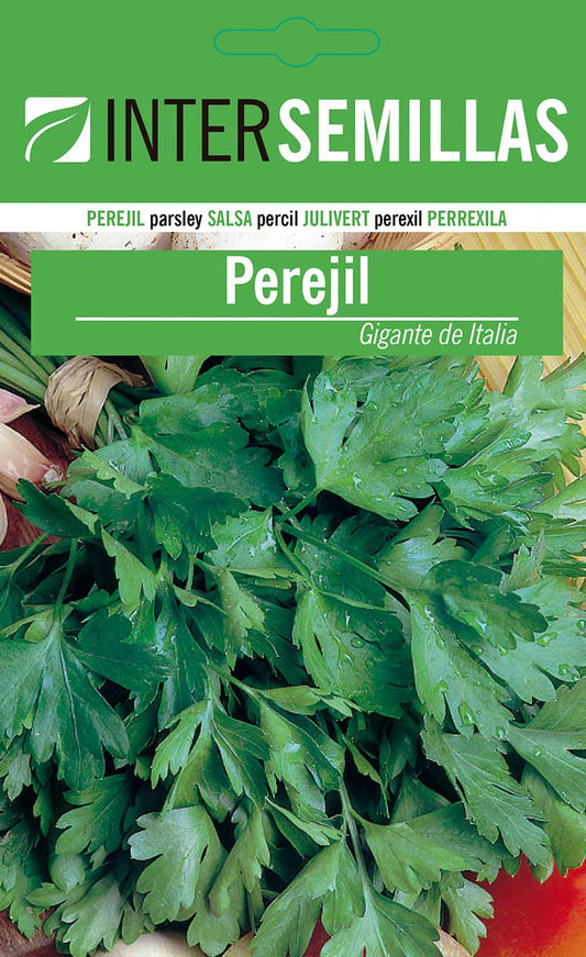 Sobre De Semillas De Perejil Gigante_0