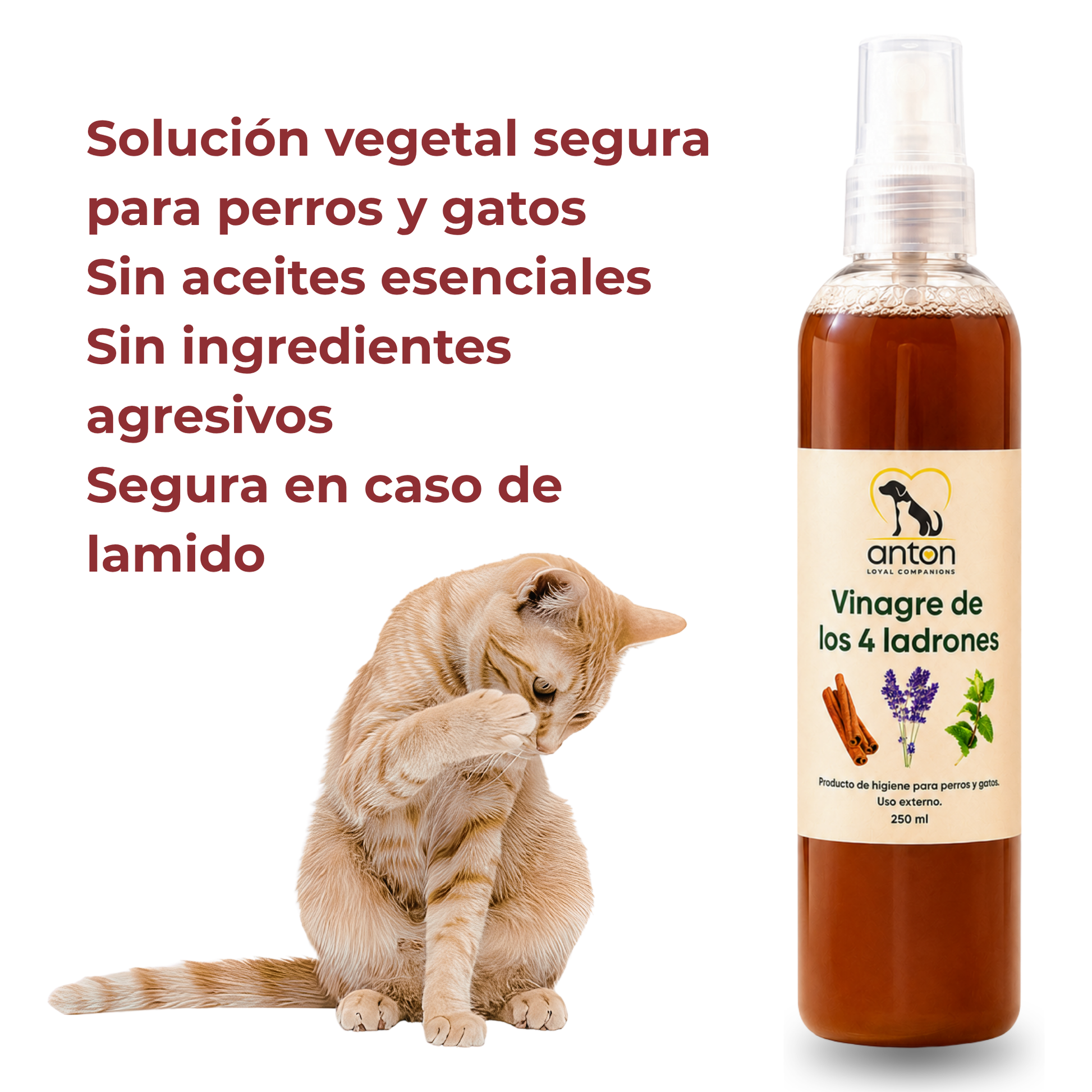 Vinagre de los 4 Ladrones para Perros y Gatos – 250ml_4