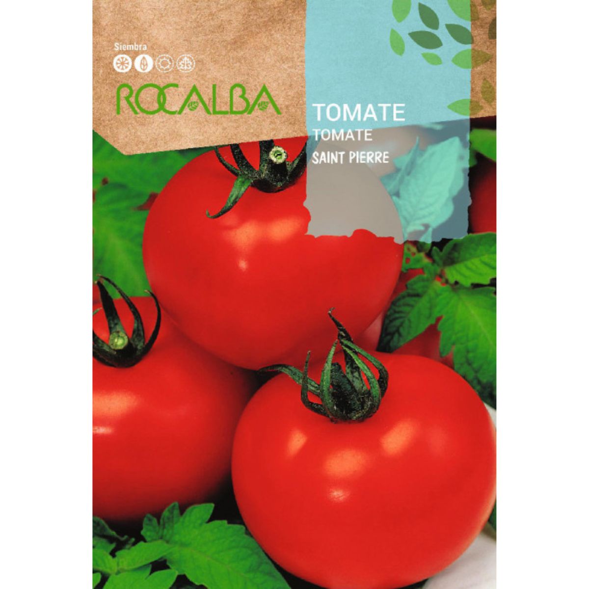 Semillas de Tomate saint Pierre