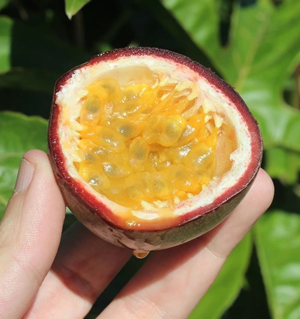 Fruta De La Pasión O Maracuyá | Caja De 2kg_4
