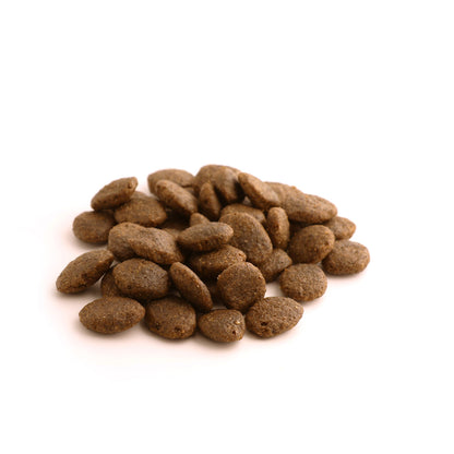 Fish4dogs Pienso Para Perro Adulto Sin Cereales – Pescado Blanco Y Patata 1,5 Kg_2