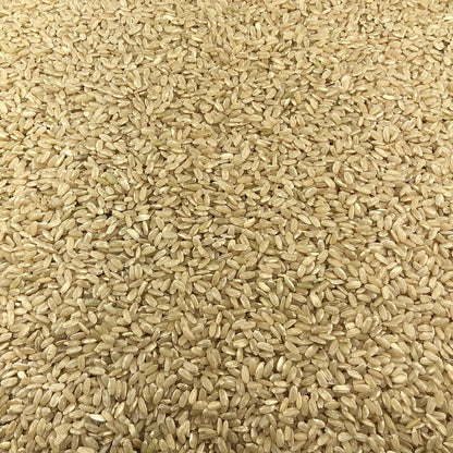 Arroz Integral Ecológico Granel 1 Kg_2