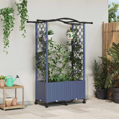 Cama Elevada Con Trellis Y Techo Gris 125 X 40 X 144 Cm Pp_1
