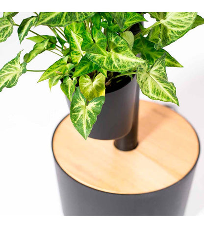 Macetero Vertical Citysens Con Riego Inteligente De 3 Macetas – Negro, Polipropileno 100% Reciclado_1