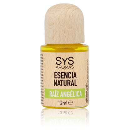 Esencia Aromática Raíz De Angélica 12 Ml | Aroma Herbal Y Terroso | Fragancia Natural | Perfume Concentrado_0