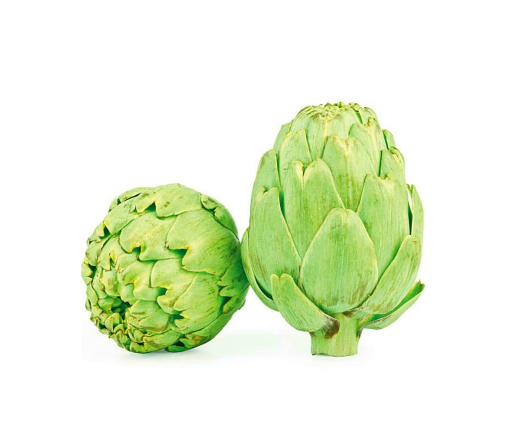Alcachofa Verde M11 (cynara Scolymus)_0