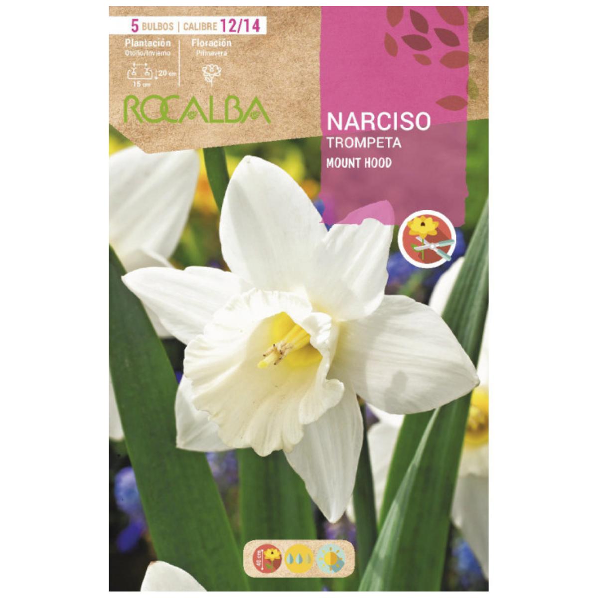 Bulbo de Narciso Trompete Branco Mount Hood 5 peças Rocalba