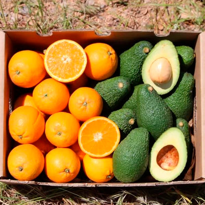 Caja 4kg Pack Aguacates Y Naranjas Del Campo Tropitop_2