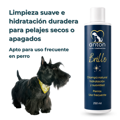 Champú natural para el cuidado del pelaje de perros – Pack 3 x 250 ml_1