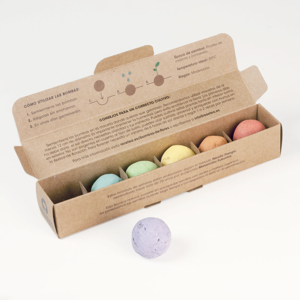 Pack 6 Bombas De Semillas – Flores Silvestres | Regalo Original Y Sensorial_4