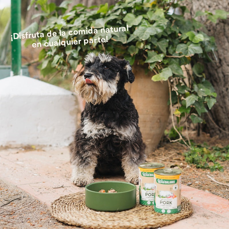 Wild Balance Pork and Vegetable BARF Pack para cães 6x400g