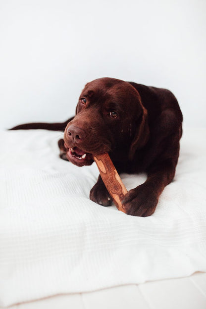 Bimorbox Mediana · Pack Snacks Y Juguetes Naturales Para Perros._4