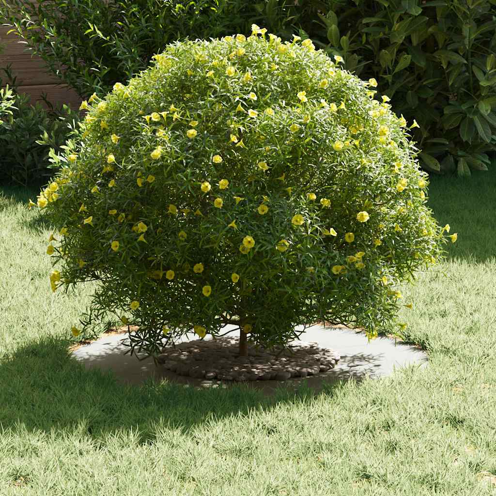 Adecuado Para Anillo De Árbol Plano Ø30/60 Cm Acero_2