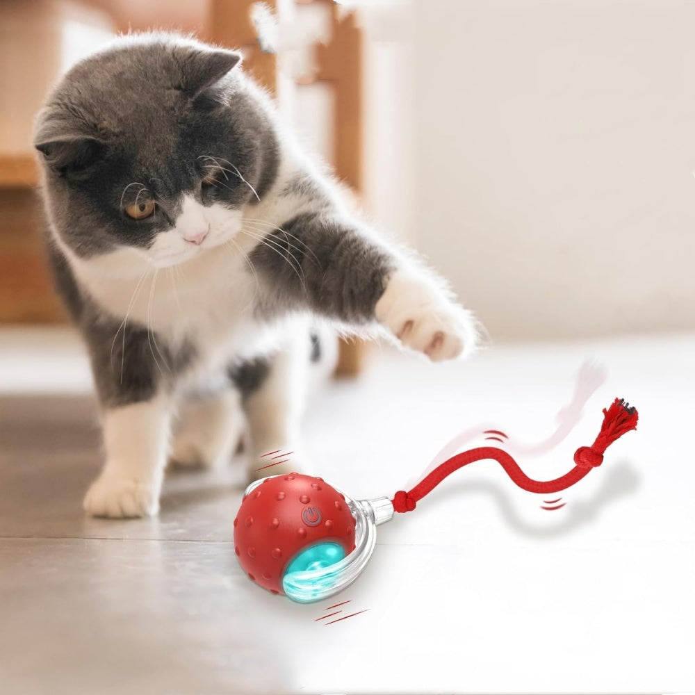Intimeg Pelota Interactiva Roja Para Gatos_1