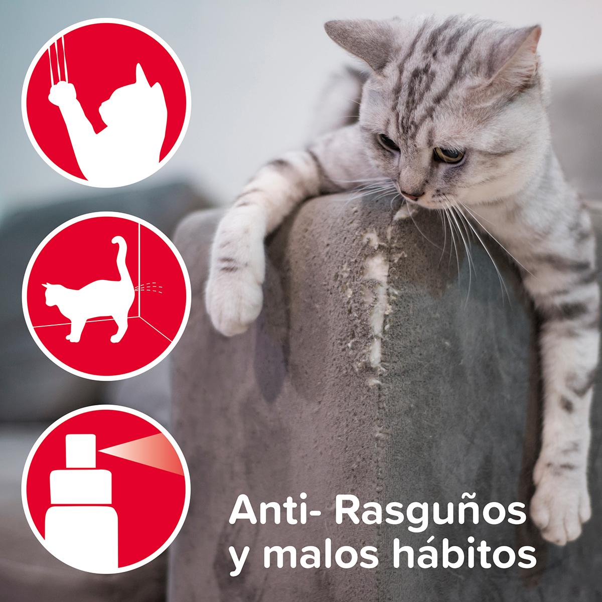 Repelente educador para gatos Keep off Sprey Beaphar 100 ml